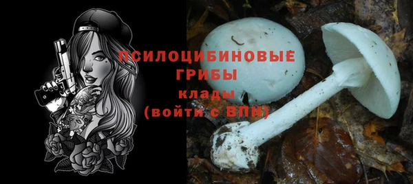 стаф Снежинск