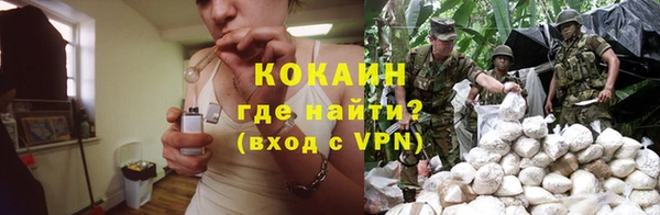 стаф Снежинск