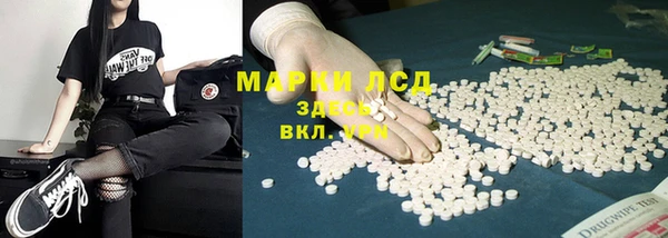 стаф Снежинск